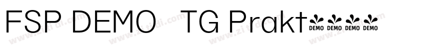 FSP DEMO   TG Prakt字体转换